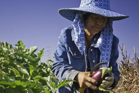 Farmworker in Blue